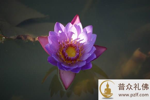 为富不仁非为贵,见色不乱方为贵