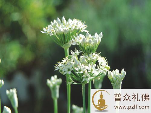 五句话，让你受用终身