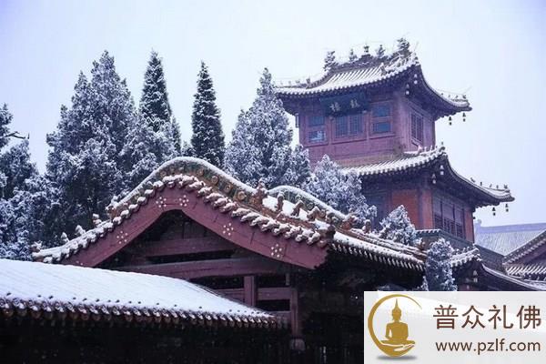 不要急于求心念一下子能清净