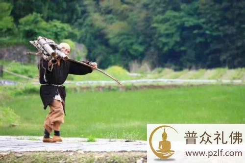 丛林出坡的历史缘起