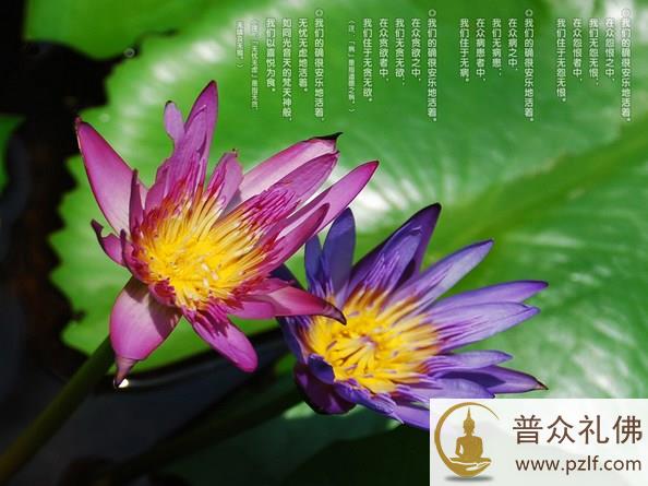 人之所以活的累就是因为想的太多