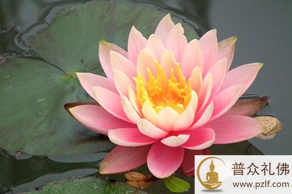 一室太和真富贵,满门春色大荣华