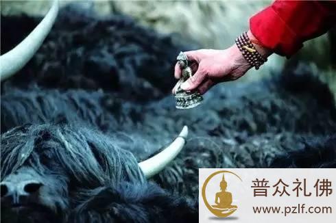 以菩提心摄持,福报很快就会成熟