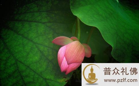 三界万法种种境缘,实无心识外之别物