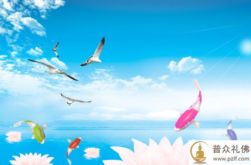 一条待宰的鱼儿 \