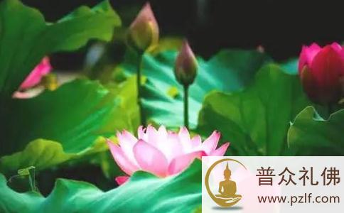 为父母放生是天下第一善事 为父母放生是天下第一善事