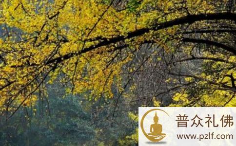 什么是因缘故事? 什么是因缘故事?