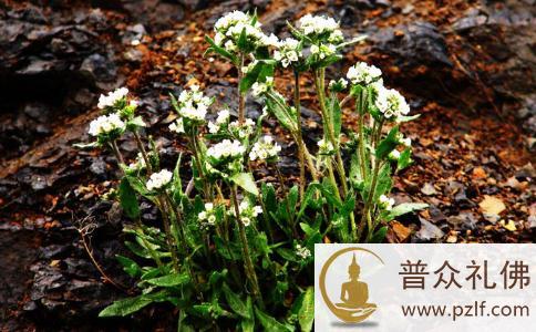 为了生存，大学生走上拾捡废品的道路