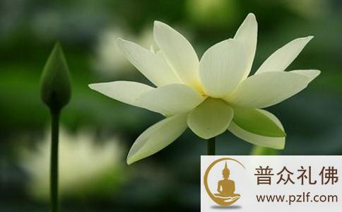 不怕念起,就怕觉迟 不怕念起,就怕觉迟