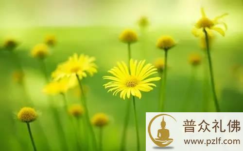 人生的福报与光荣，都是这颗心感召来的