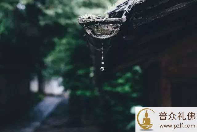 “随缘自在”和“放任自流”有何区别？