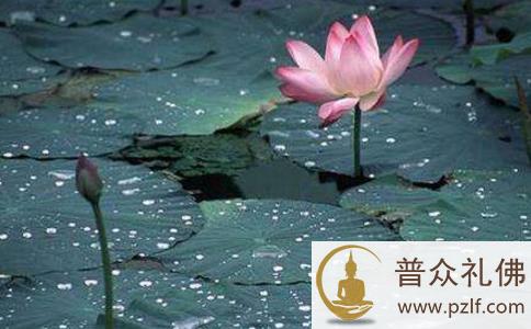 一间鬼屋引发两个客僧的扭打 一间鬼屋引发两个客僧的扭打