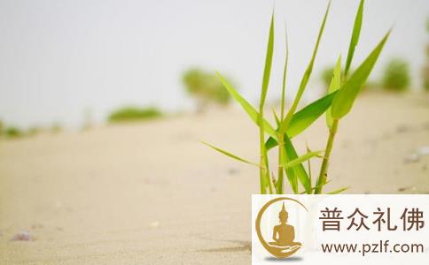 一场疾病改变了我的生命 一场疾病改变了我的生命