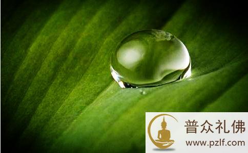 从宏观的角度来观察人事物