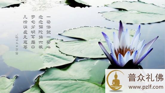 仗佛慈力,于此了生死大事