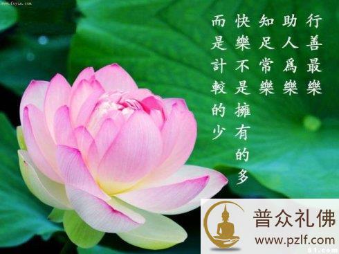 不学佛也可以行善助人，为何一定要学佛