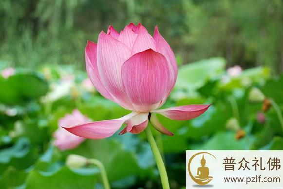 不要只讲「空」，还要把「有」建立好