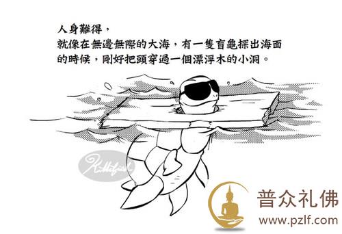 人生是苦,人身难得