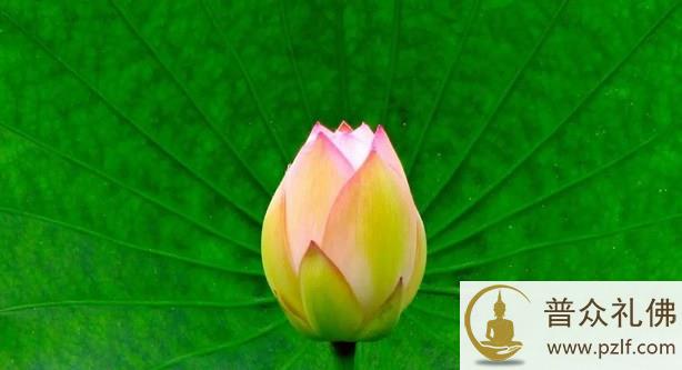 九缘皆具,方成不可悔之大妄语