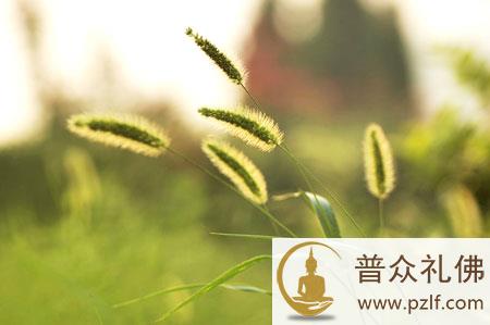 人生七件事，千万不能做