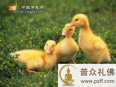 人生最有价值的东西