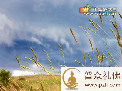 人在什么时候最明白