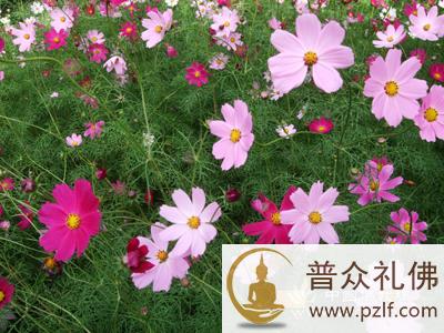 人生的痛苦与快乐