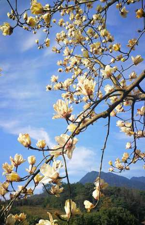 宝峰禅师的境界