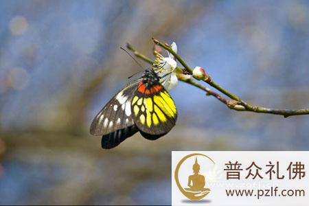 不要太在意是非