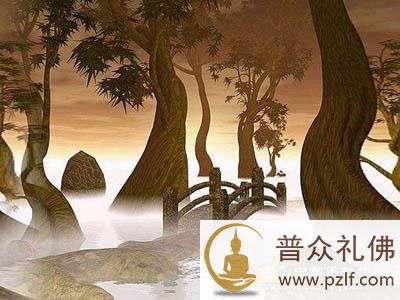 为你，不喝孟婆汤