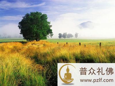 人生应给做到的十件事