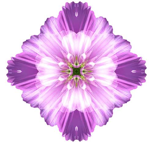 \